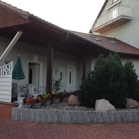 Schildkrote * Grünheide